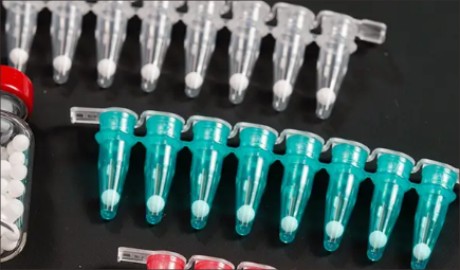 凍幹小球（qiú）自動化分裝解決方案