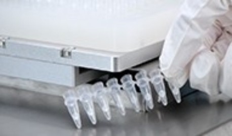 廣州飛升（shēng）大容量線性（xìng）注液泵賦能軟包動力電（diàn）池製造