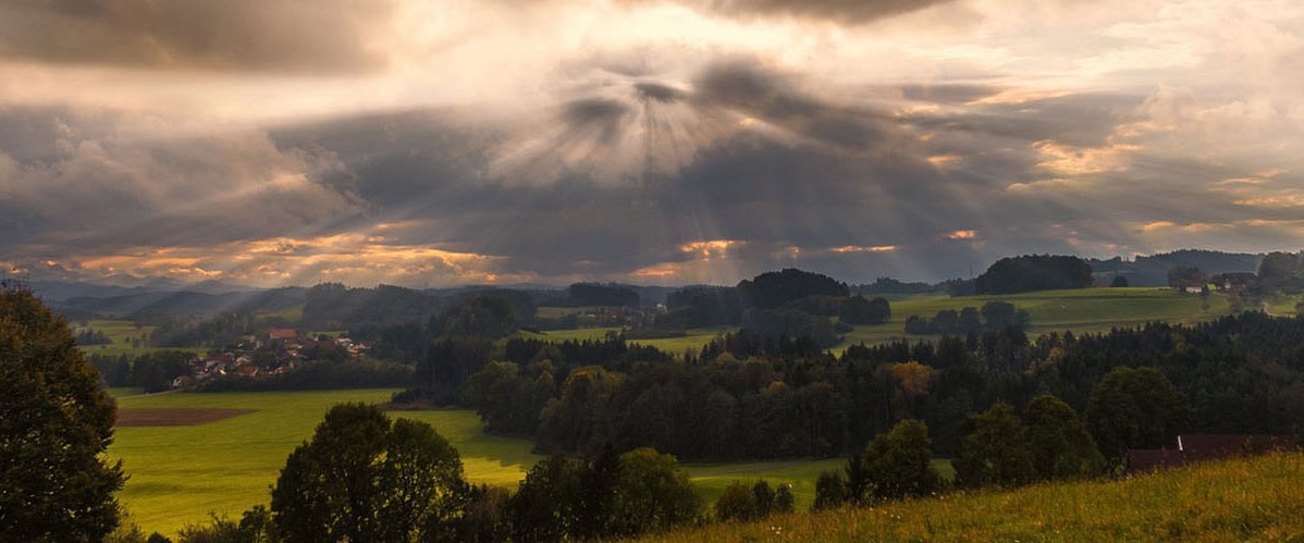 关于飞（fēi）升